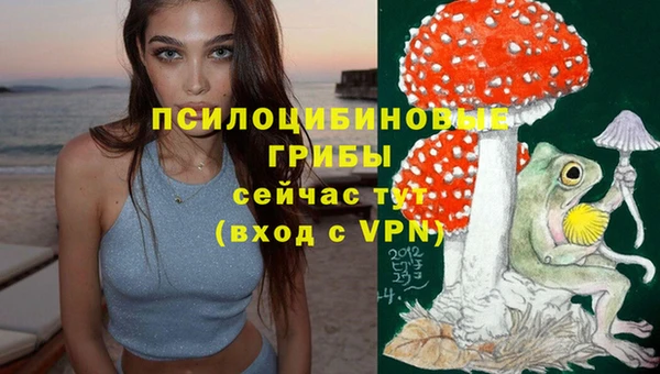 PSILOCYBIN Балахна