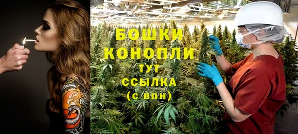 PSILOCYBIN Балахна